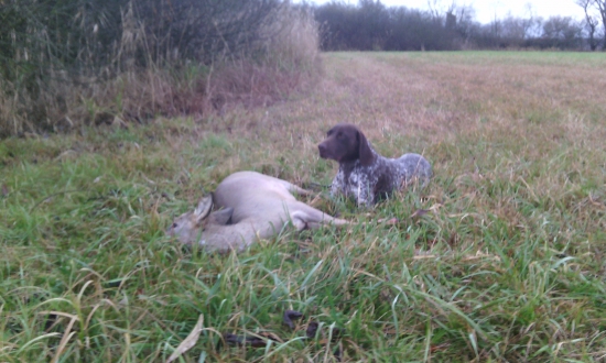 Alma a jeji desaty dosled.