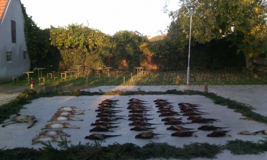 prvni spolecna na bazanty