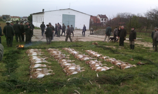 prvnni zajeci 2016