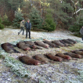 uhorské 11.12.2011
