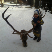 trofej