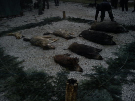 2.Spoločná Polovačka _PZ skerešovo II ( Poplatková )