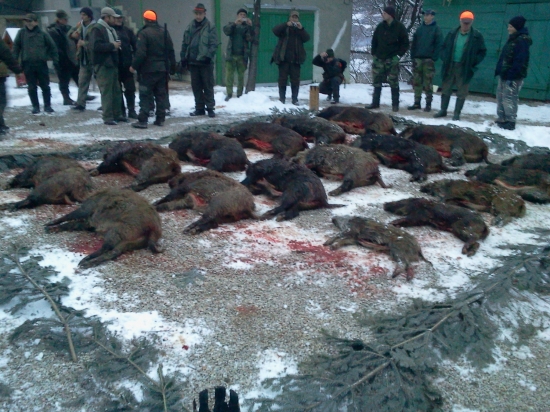 Poplatková polovačka