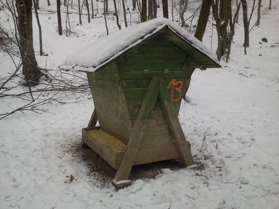 vianočné krmenie  ;)