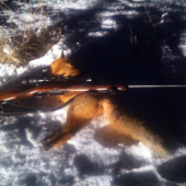 Opäť sa pošťastilo