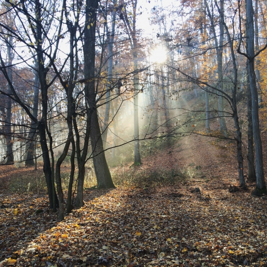 Dnes bolo u nás  krásne