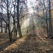 Dnes bolo u nás  krásne