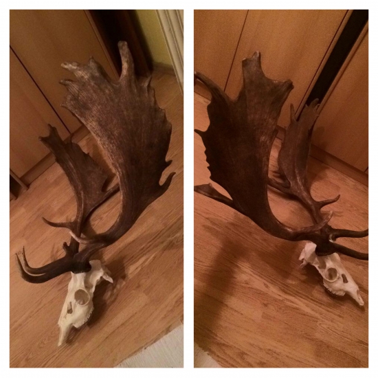 Môj životný daniel - cca 200 bodov