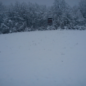 čerstvo napadaný sneh