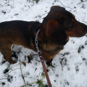 Beny
