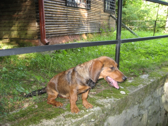 este trosku si posedim...