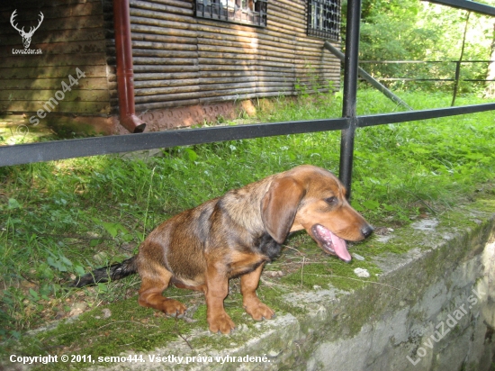 este trosku si posedim...