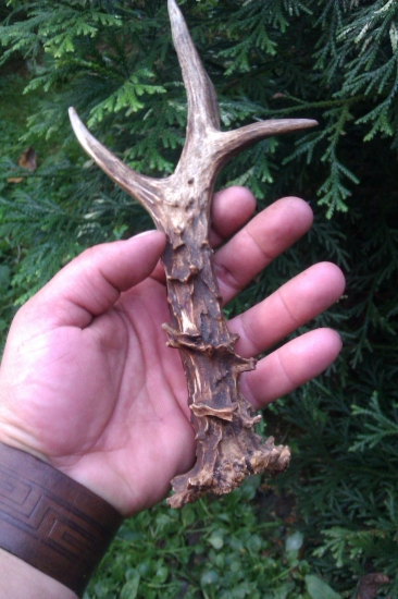 šestorák z Mardune