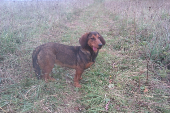 vycerpana po prechadzke...