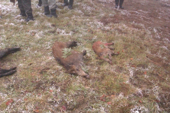 to je veľkostný rozdiel...