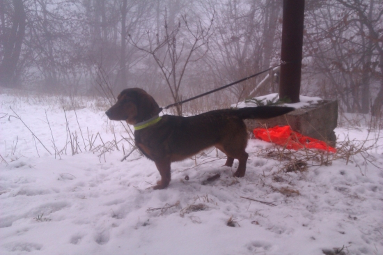 po spoločnej polovačke