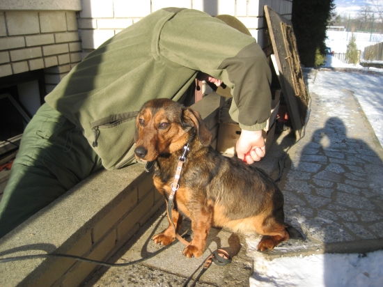 česanie  :)))))))))))))))