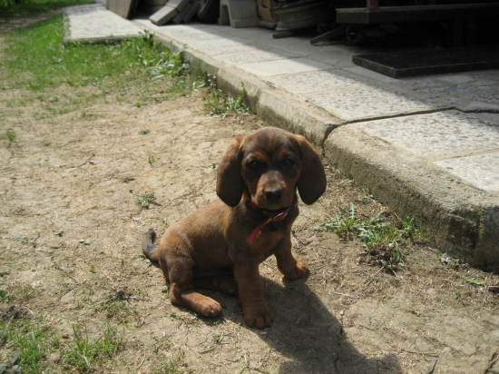 Prixa ked  bola malička