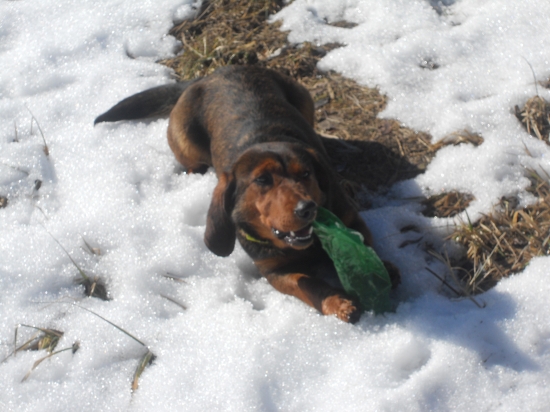 Prixa a jarné upratovanie v revíri