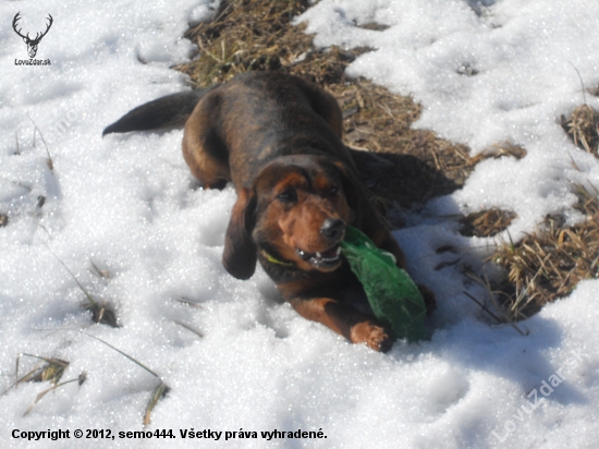 Prixa a jarné upratovanie v revíri