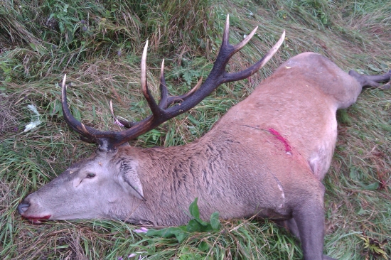 najkrajší z minulej sezóny