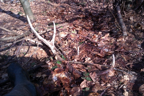 mal som tam byť pred rakom