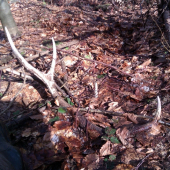 mal som tam byť pred rakom