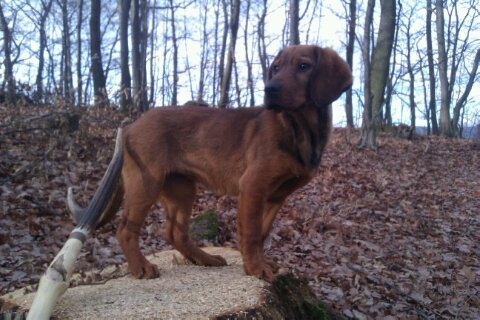 3 mesiace Jessi Rodbach