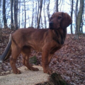 3 mesiace Jessi Rodbach