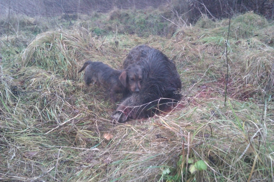 Peggy a jej druha dohladavka