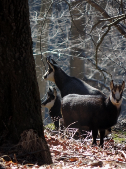 Dnešní blízké setkání