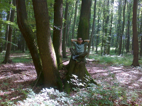 prestavocka  na dube