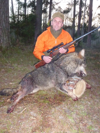 Vlčica z Bieloruska