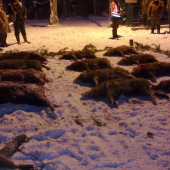 Spoločná polovačka