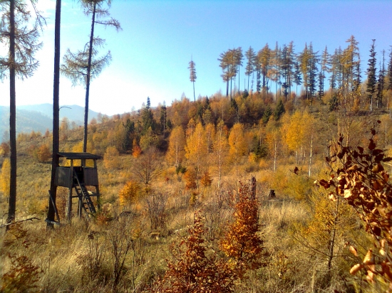 posed v oranžovom opojení...