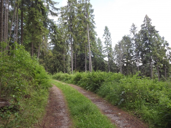 zvážnica