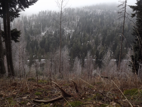 ležal v chladnom vetre a leží ďalej