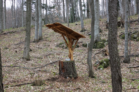 najnovší prírastok