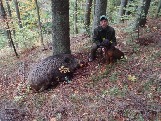 Po úspešnej dohľadávke