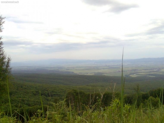 Výhlad