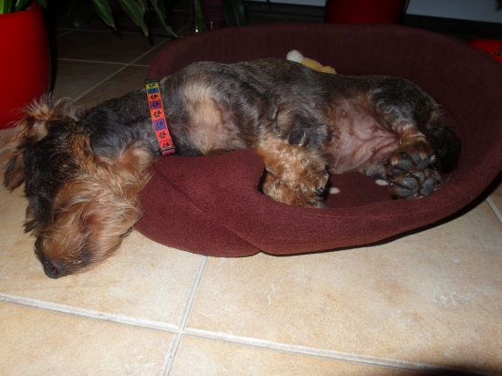 zaslúžený odpočinok