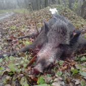 Mikulášsky na spoločnej