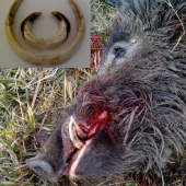 Otcov Štefansky - 100,5boda