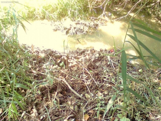 a tu sa bahní čierna