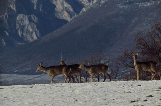 Počkajte, vidím niečo