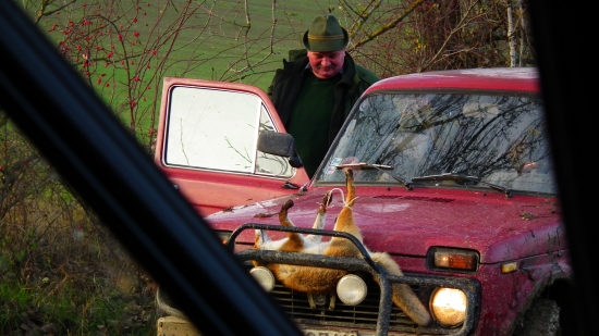 Zo spoločnej