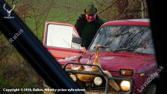 Zo spoločnej