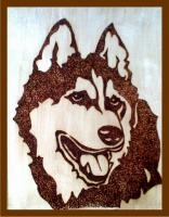 VLK -vypaľovany obraz