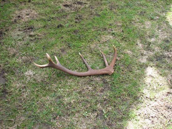 Spomienka na rok 2010