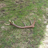 Spomienka na rok 2010